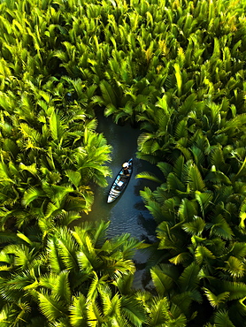 Fisherman fishing in the middle of nipa palm forest, Quang Ngai, Vietnam, Indochina, Southeast Asia, Asia