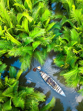 Fisherman fishing in the middle of nipa palm forest, Quang Ngai, Vietnam, Indochina, Southeast Asia, Asia