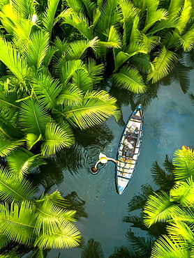 Fisherman fishing in the middle of nipa palm forest, Quang Ngai, Vietnam, Indochina, Southeast Asia, Asia