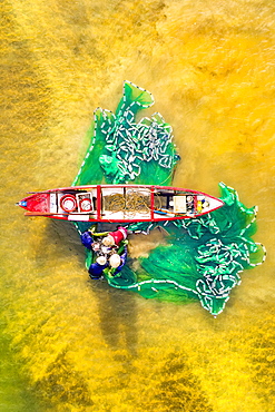 Fishermen fishing in the estuary, Quang Ngai, Vietnam, Indochina, Southeast Asia, Asia