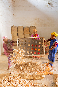 Women working in a spice market sorting ginger, Fort Kochi, Kerala, India