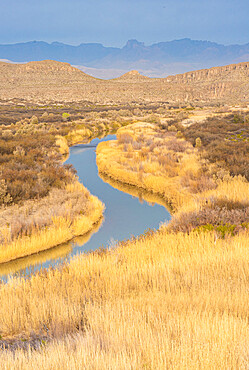 Rio Grande River in golden grasses with Chisos Mountains in background, Big Bend National Park, Texas, United States of America, North America