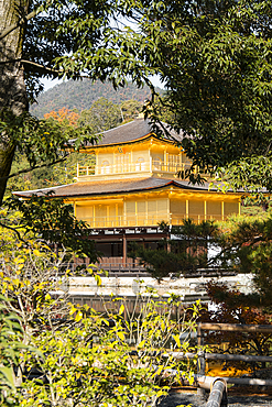 Kinkaku-ji Golden Pavilion Temple framed by trees, UNESCO World Heritage Site, Kyoto, Honshu, Japan, Asia