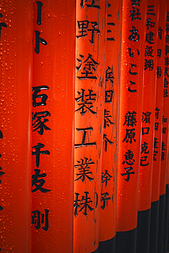 The red Torii Gate details at Fushimi Inari Taisha shrine in Kyoto, Honshu, Japan, Asia