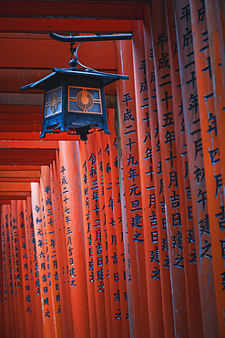 The red Torii Gates at Fushimi Inari Taisha shrine in Kyoto, Honshu, Japan, Asia