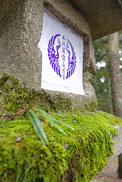 A stone lantern covered by vibrant moss in the forest in Nara, Honshu, Japan, Asia