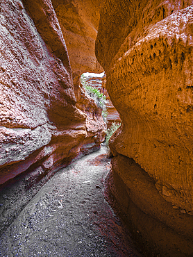 Majestic red rock walls in Kok-Moinok Canyon, Kyrgyzstan, Central Asia, Asia