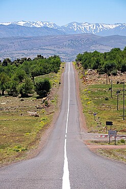 Long tarred road with the snowy Atlas Mountains in the background, Morocco, North Africa, Africa