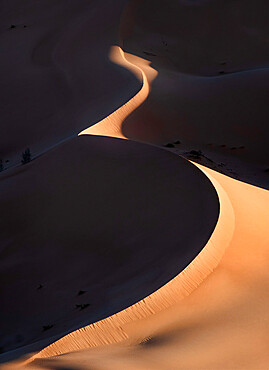 Sand dunes at sunrise with high contrast in the Rub al Khali desert, Oman, Middle East