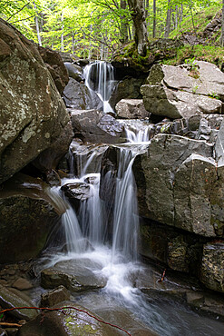 Small waterfall between rocks in the woods, Emilia Romagna, Italy, Europe