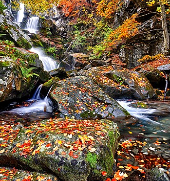 Dardagna Waterfalls in autumn, Parco Regionale del Corno alle Scale, Emilia Romagna, Italy, Europe