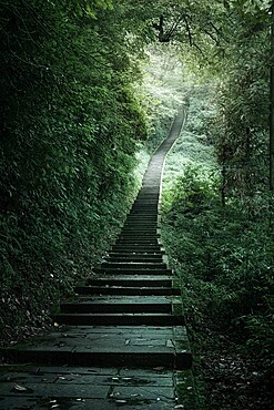 The endless stairs to ascend Mount Emei, Emeishan, Sichuan, China, Asia