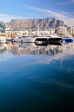 Victoria and Albert (Victoria and Alfred) Waterfront, Cape Town, South Africa, Western Cape, South Africa, Africa