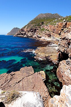 Cape Point Nature Reserve, False Bay, Western Cape, South Africa, Africa