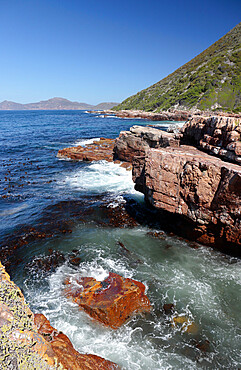 Looking south towards Cape Point over False Bay, Cape Point Nature Reserve, near Cape Town, South Africa, Africa