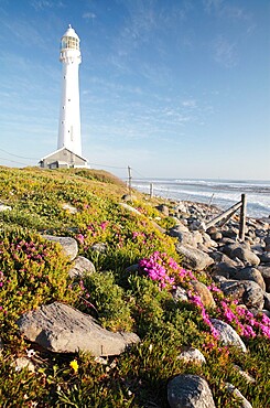 Slanghop Lighthouse, Kommetjie, Western Cape, South Africa, Africa