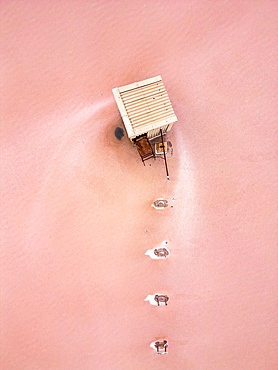 Tuz salt lake drone aerial view of house in the lake with pink salt around, in Turkey