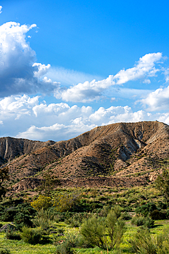 Tabernas desert landscape on a sunny day, Almeria, Andalusia, Spain, Europe