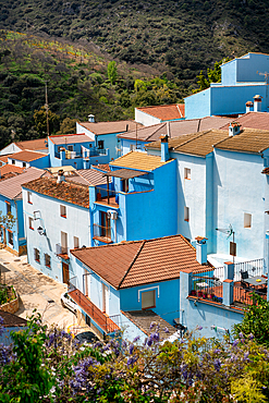 Blue painted Smurf house village of Juzcar, Pueblos Blancos region, Andalusia, Spain, Europe