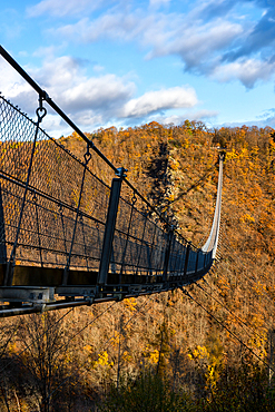 Geierlay suspension bridge in an autumn landscape with trees, Rhineland-Palatinate, Germany, Europe