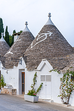 Alberobello iconic old Trullo and Trulli white houses with stone ceilings in conical shape, UNESCO World Heritage Site, Alberobello, Apulia, Italy, Europe