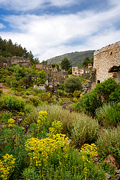 Kayakoy greek ghost town with abandoned houses in the mountains full of vegetations in Fethiye, Turkey