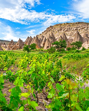 Selime ancient town with houses carved on the rocks in Cappadocia, Turkey