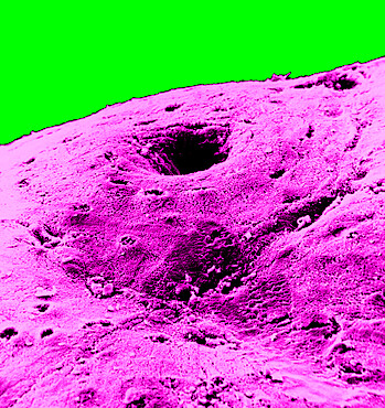 Colon mucosa in SEM x 600. The colon mucosa is constituted of an epithelium, glands, a connective tissue