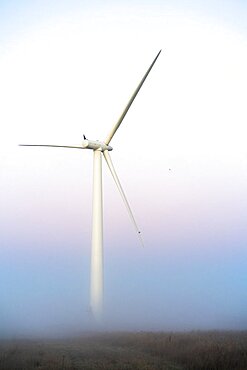 Commercial wind turbine in the early morning fog at sunrise in the English countryside