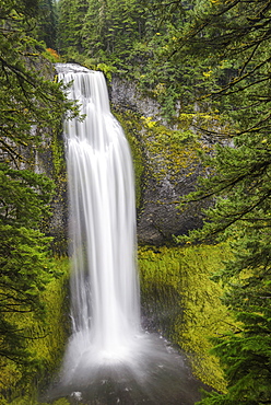 Salt Creek Falls, Willamette National Forest, Oregon.