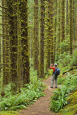 Hiker taking photo with cell phone on Siltcoos Lake Trail, Siuslaw National Forest, Oregon.