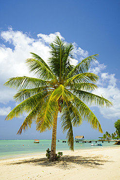 Pigeon Point Heritage Park on Tobago island, Trinidad & Tobago