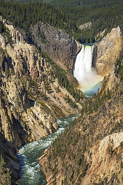 Lower Falls of the Yellowstone River, with rainbow at base of the falls, from Artists Point, Yellowstone National Park, Wyoming.