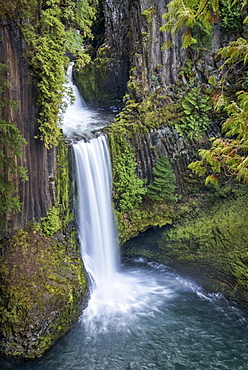 Toketee Falls, North Umpqua River, Umpqua National Forest, Oregon.