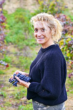 Mature young blondy farmer woman in a vineyard farmland with a bunch of grapes. Iguzkiza, Navarre, Spain, Europe.