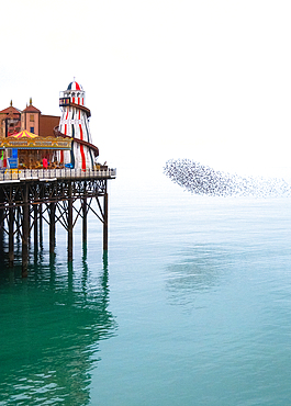 Starling murmuration at sunset next to the Brighton Palace Pier, City of Brighton and Hove, East Sussex, England