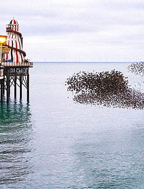 Starling murmuration at sunset next to the Brighton Palace Pier, City of Brighton and Hove, East Sussex, England