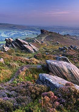 Ramshaw Rocks and purple heather in summer, near Leek, Peak District National Park, Staffordshire Moorlands, Staffordshire, England, United Kingdom, Europe