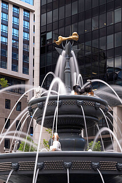 The Berczy Park Dog Fountain, Berczy Park, Toronto, Ontario, Canada, North America