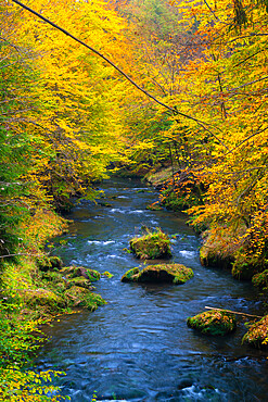 Kamenice river in autumn, Bohemian Switzerland National Park, Hrensko, Decin District, Usti nad Labem Region, Czech Republic