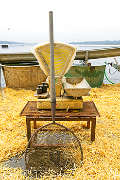 Fishing net and scale ready for fish harvest on Rozmberk Pond, UNESCO Biosphere, Trebon, Jindrichuv Hradec District, South Bohemian Region, Czech Republic (Czechia), Europe