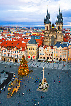 Christmas tree at Old Town Square with Church of Our Lady before Tyn, UNESCO, Prague, Bohemia, Czech Republic