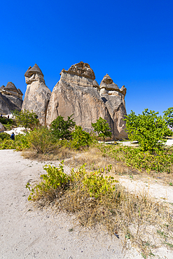 Fairy chimney rock formations, Pasabag Valley, Cavusin, Cappadocia, Anatolia, Turkey, Asia Minor, Asia