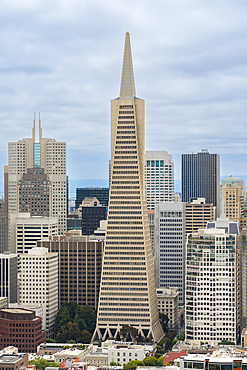 Transamerica Pyramid in city, San Francisco, California, United States of America, North America