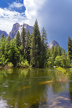 Cathedral Rocks by Merced River, Yosemite National Park, Sierra Nevada, Central California, California, USA