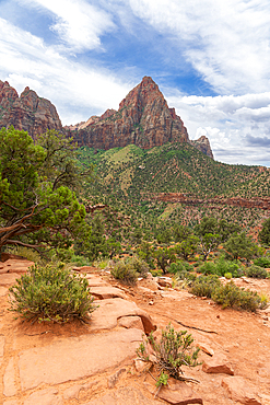 Watchman mountain, Watchman trail, Zion National Park, Utah, United States of America, North America