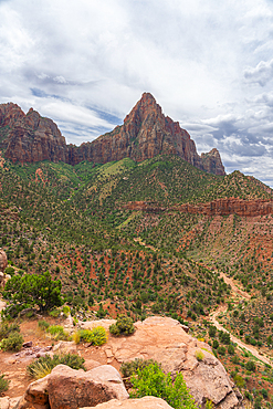 Watchman mountain, Watchman trail, Zion National Park, Utah, USA