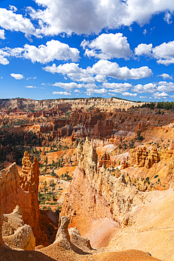 Scenic view of hoodoos and rock formations, Sunrise Point, Bryce Canyon National Park, Utah, United States of America, North America