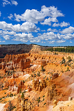 Scenic view of hoodoos and rock formations, Sunrise Point, Bryce Canyon National Park, Utah, United States of America, North America