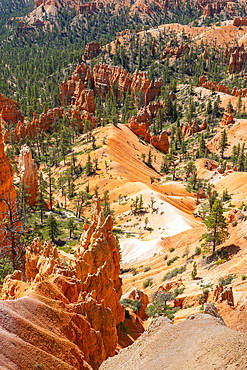 Scenic view of hoodoos and rock formations, Rim Trail near Sunrise Point, Bryce Canyon National Park, Utah, United States of America, North America